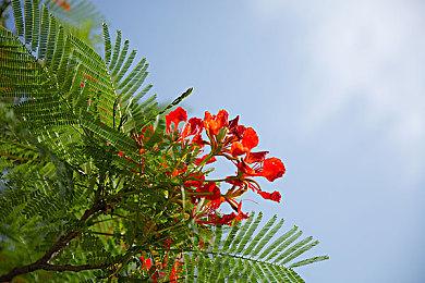 《月光光心慌慌游戏版》公布 根据1978年首部电影改编